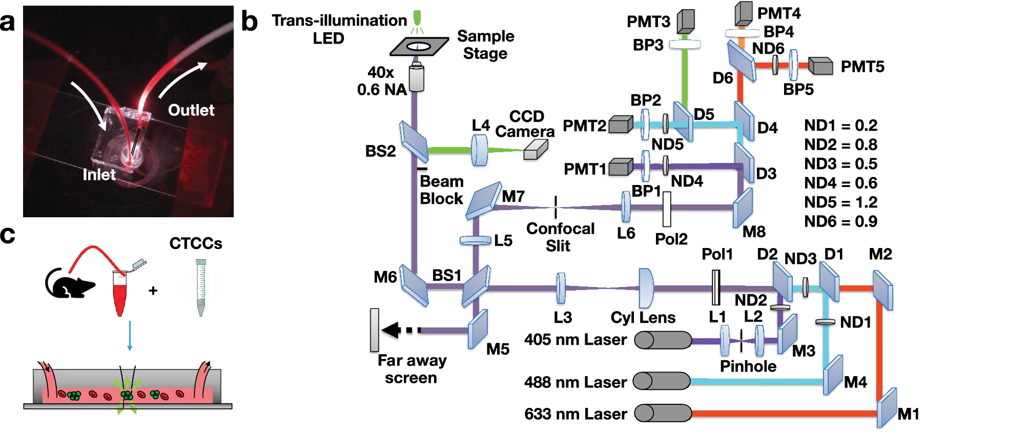 Summary of experimental system for CTCC detection.